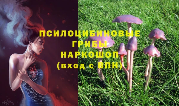 мдпв Карталы