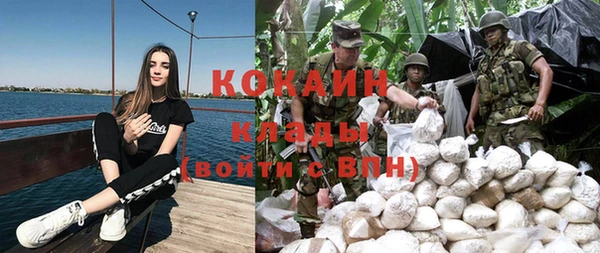 spice Алзамай